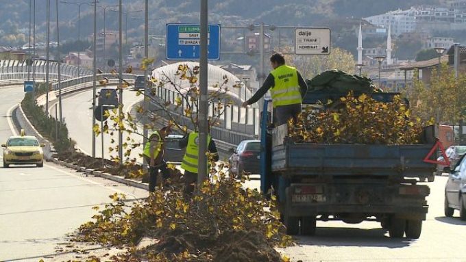 Vijon puna per projektin e Unazes: Shkulen pemet dhe shtyllat e ndricimit